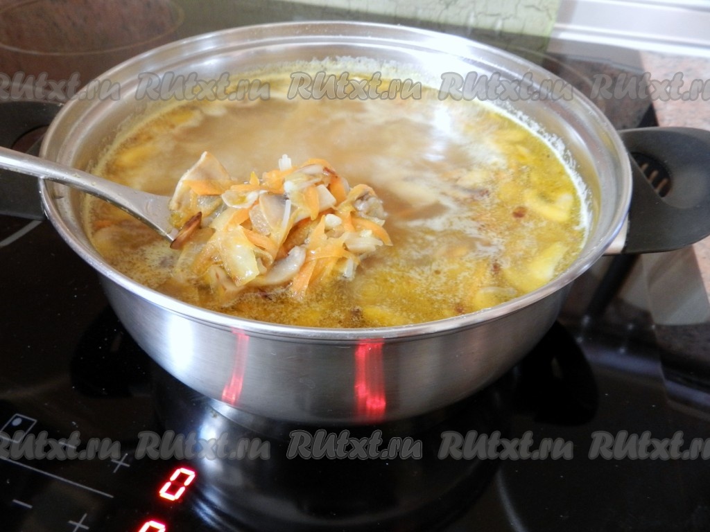 Фото 7 — Сырный суп с шампиньонами и луком