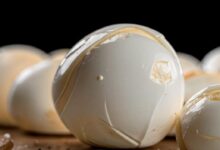 Photo of Сыр моцарелла с помидорами и базиликом